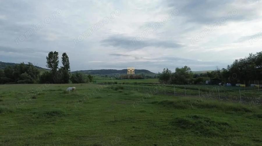 Teren 3953 mp Falticeni Tarna Mare De Vanzare 0727817187 - 8