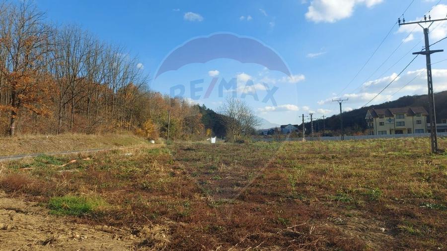 Teren intravilan de vanzare in Hidiselul de Jos, jud.Bihor - 9