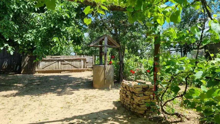 Vand casa in Voivozi, comuna ?imian - 5