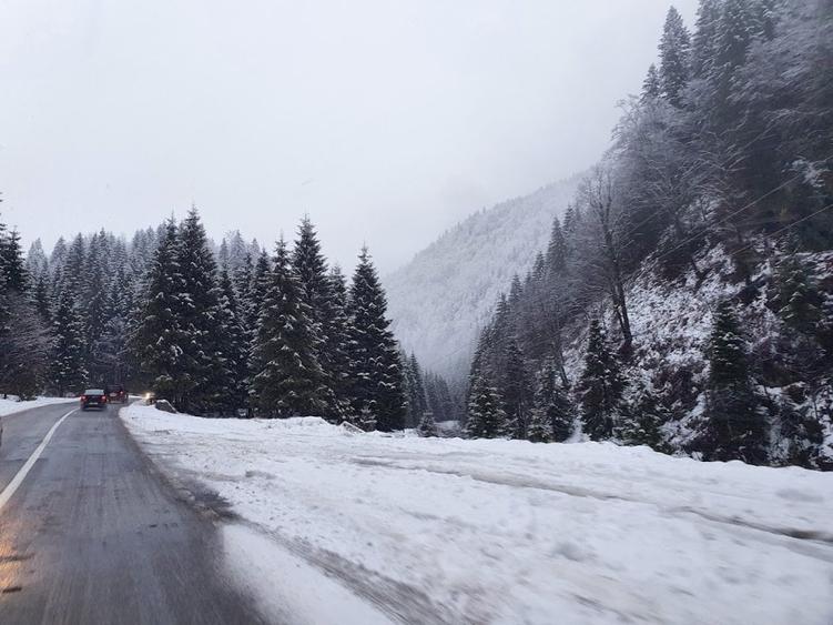 teren de vanzare la munte pentru  cabana - 8