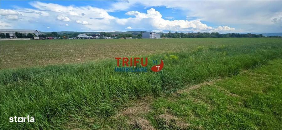 Teren intravilan industrial cu PUZ aprobat - 5