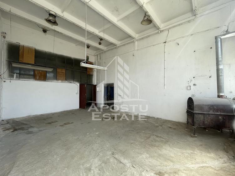 Hala depozitare sau productie, 470 mp, Zona Buziasului - 4