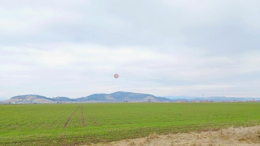 Teren Extravilan - 1