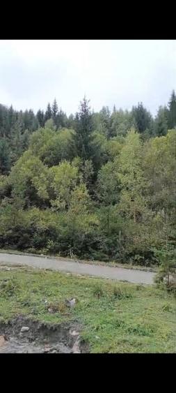 TEREN DORNA ARII - 5