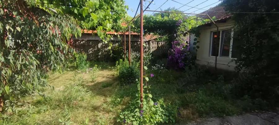 Casa spa?ioasa pe 1200mp teren, foraj 120m, zona pitoreasca Balint, Timi? - 6