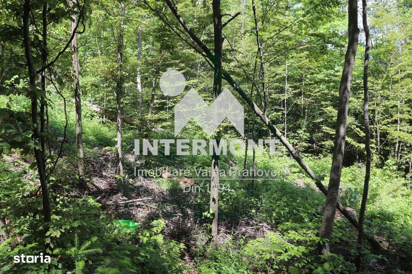 Teren Sinaia Zona Centrala, 500mp, Vedere Montana, Toate Utilita?ile - 7