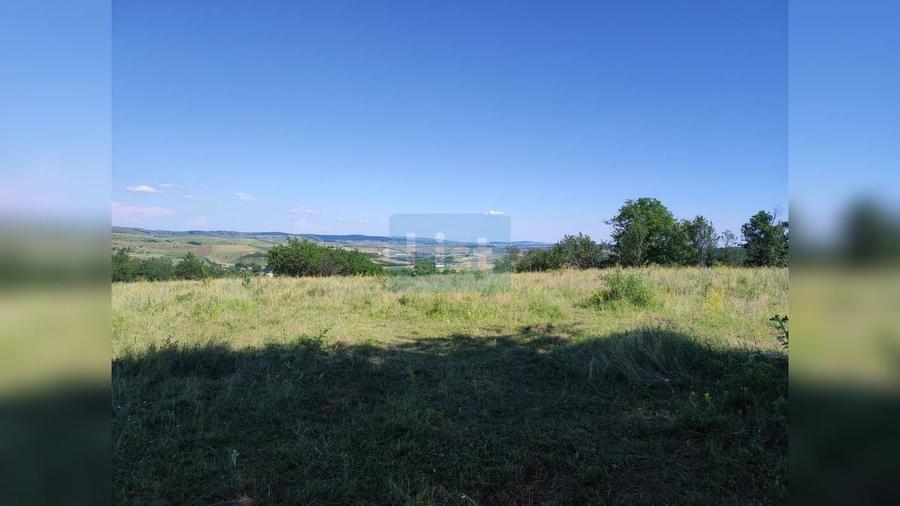Teren Construcții intravilan de 72000 mp, în Topa Mică