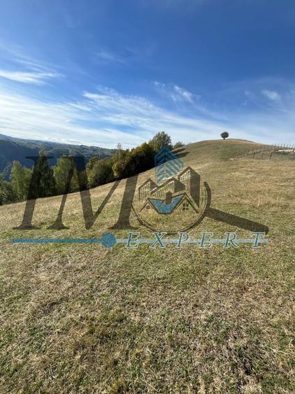 Teren agricol extravilan de 3000 mp, în Exterior Nord