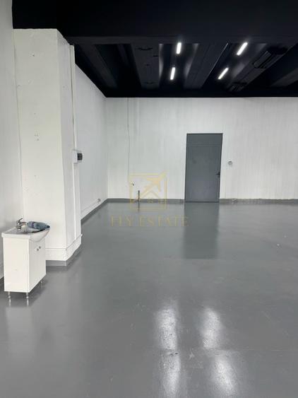 Spațiu industrial, de 180 mp, în Theodor Pallady