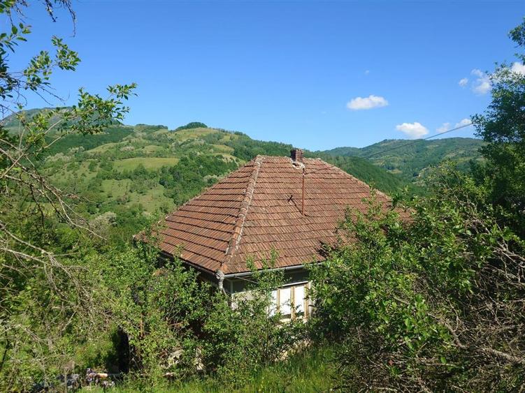 Casă individuală cu 3 camere cu Teren 34965 Mp în Blăjeni