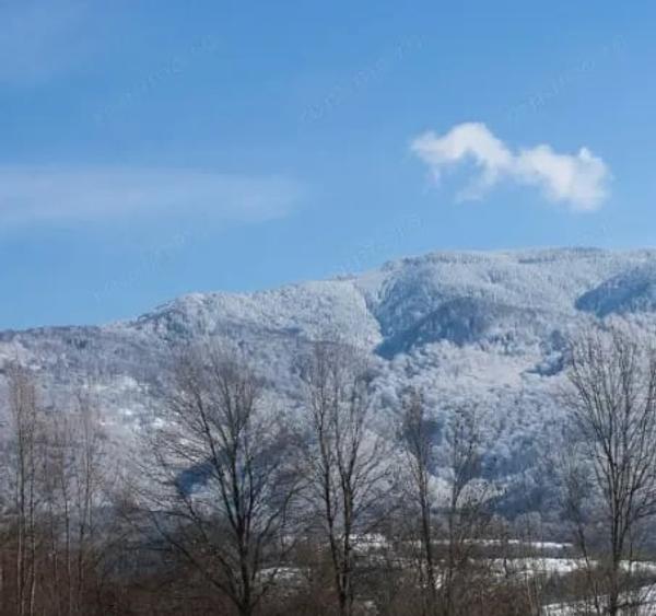 Teren de 17000 mp, în Nucșoara