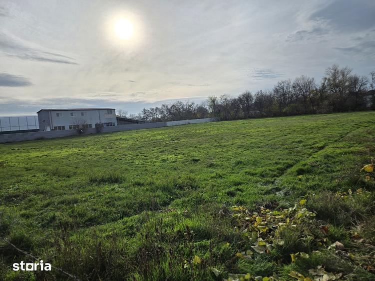 Teren de 3000 mp, în Sud