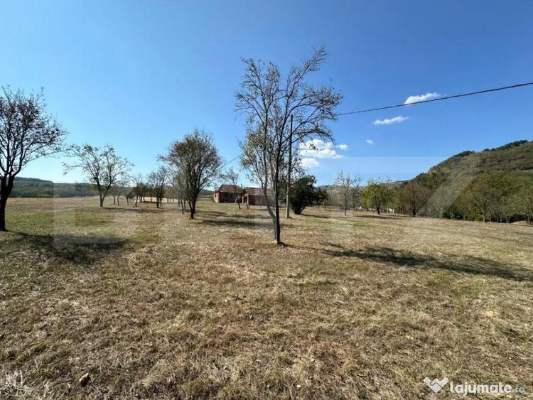 Teren intravilan de vanzare 14000mp,ideal pentru investitie, - 2