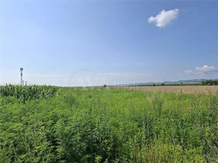 Teren de 1600 mp, în Central