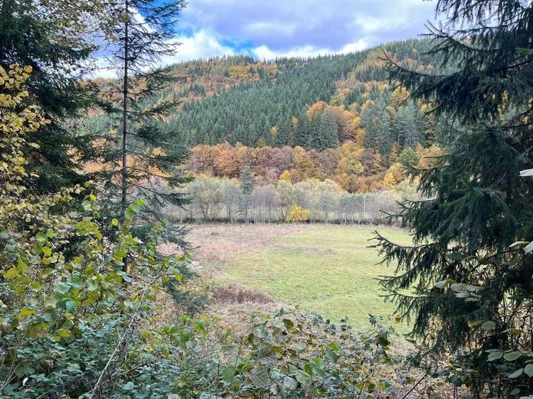Teren de 5600 mp, în Vărșag