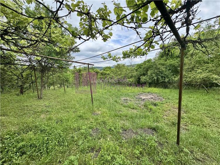 Casa individuala de vanzare in Nucet | Rosia | teren 1526 mp | livada, pivnita