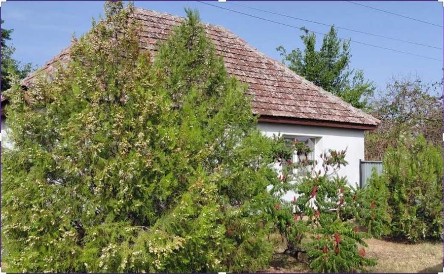 Casă cu 3 camere în Central