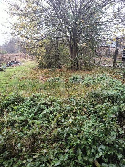 Casă individuală cu 3 camere cu Teren 950 Mp în Mica