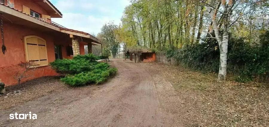 Casă cu 6 camere cu Teren 4700 Mp în Gruiu