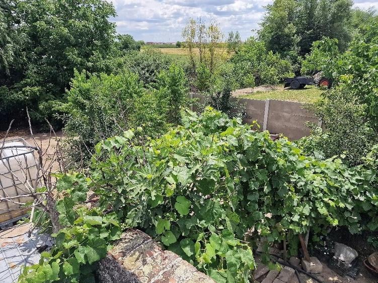 Casă cu Teren 1500 Mp în Ciarda Roșie