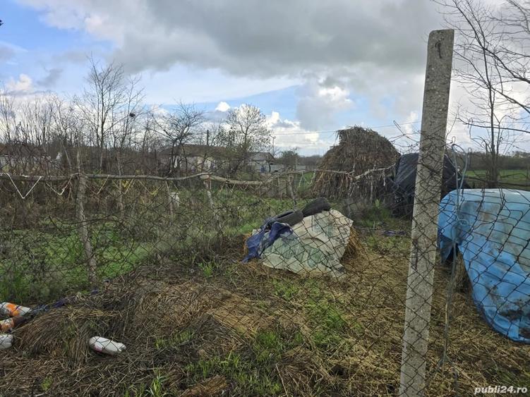 Teren de 2500 mp, în Bărăganu