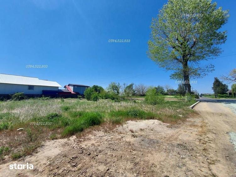 Teren de 500 mp, în Vidra