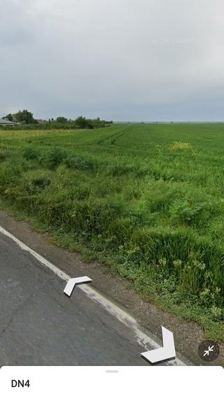 Teren de 31500 mp, în Gruiu