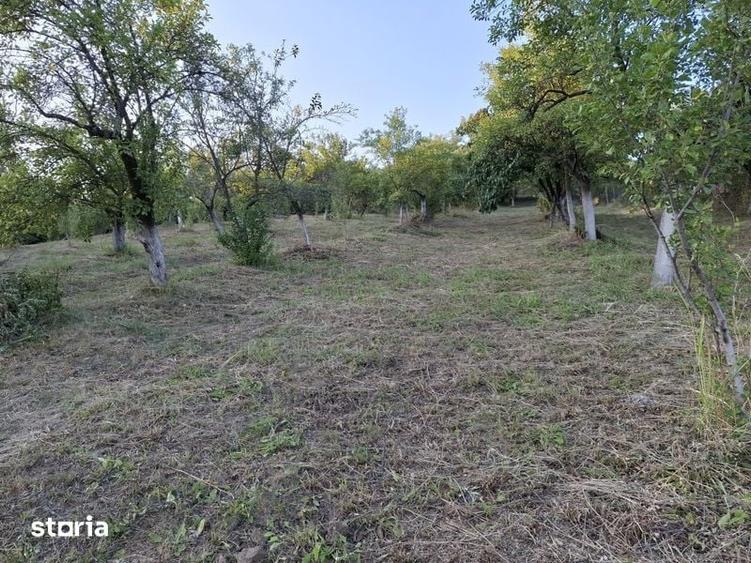 Teren de 1500 mp, în Berislăvești