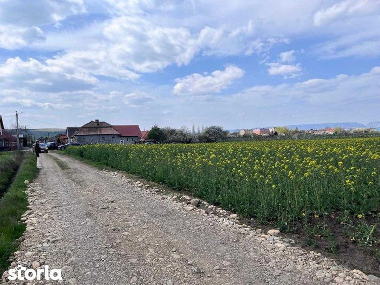 Teren de 3700 mp, în Călărași