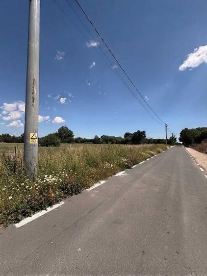 Teren de vanzare Mereni Constanta - 1