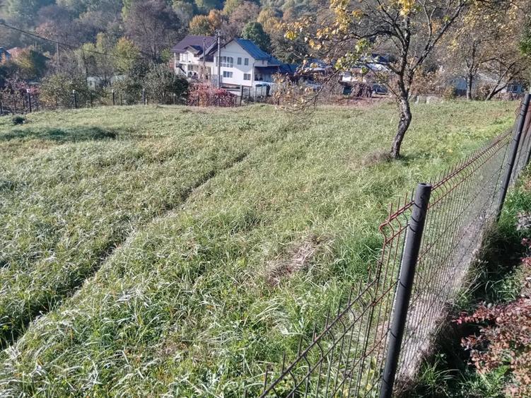 Teren de 1028 mp, în Băcești