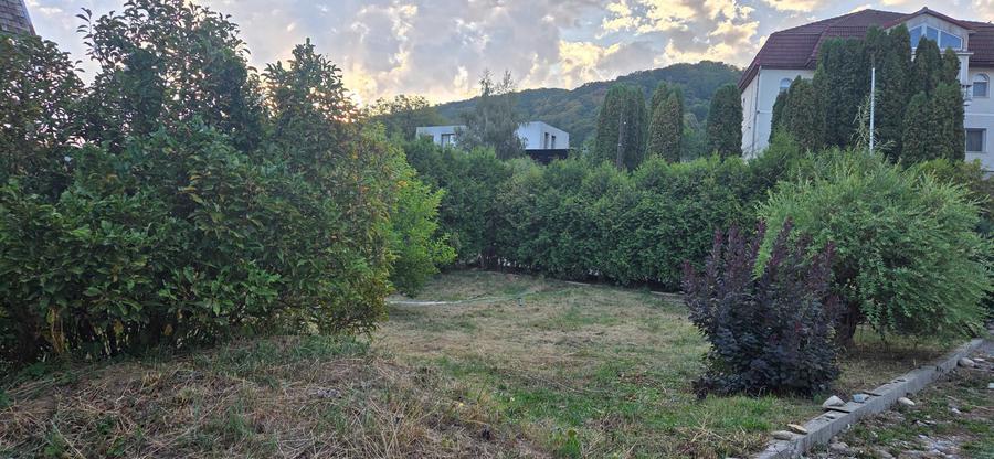 Casa D+P+M, 300mp utili, teren 13 ari Valea Ghinzii (Aerodrom) - 3