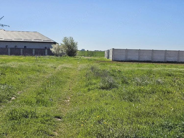 Teren de 8000 mp, în Șimnicu de Sus