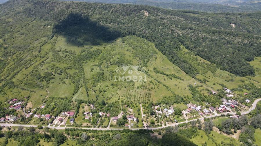 Teren agricol extravilan de 161899 mp, în Șoimari