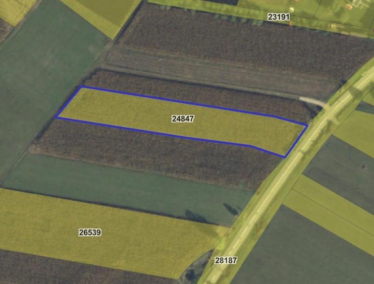 Teren intravilan de 5000 mp, în Bicfalău