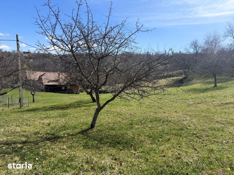 Teren de 2330 mp, în Bran
