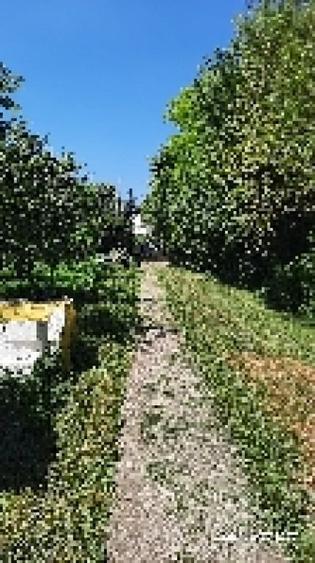 Casă cu 3 camere cu Teren 100 Mp în Central