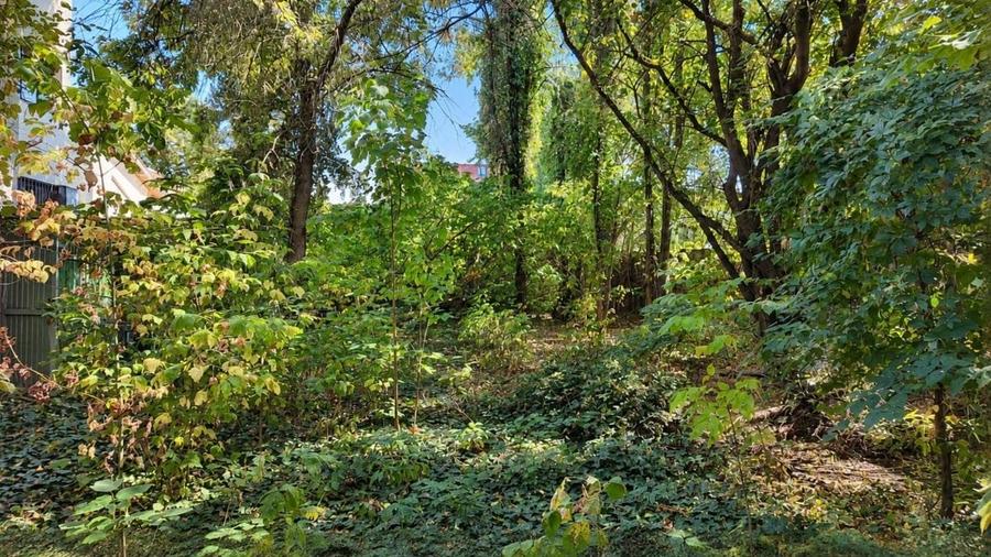Casă cu 7 camere cu Teren 731 Mp în Buda