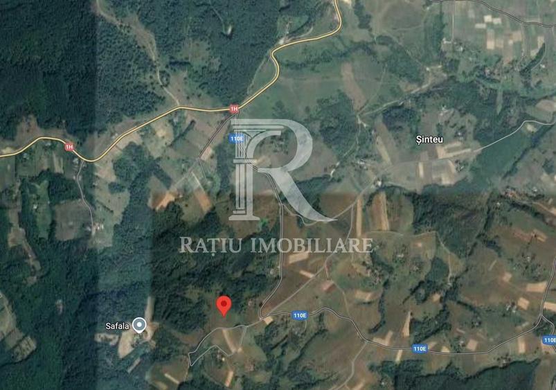 Teren Construcții extravilan de 30500 mp, în Șinteu