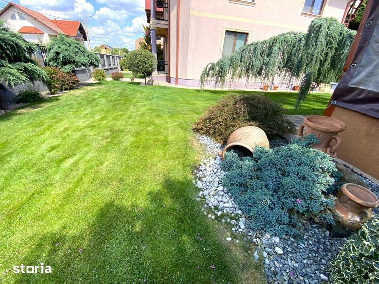 Casă cu Teren 1234 Mp în Nufărul