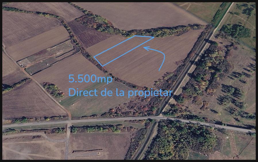 Teren agricol extravilan de 5500 mp, în Moșnița Nouă