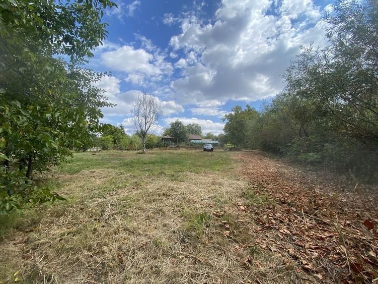 Teren de 1450 mp, în Satu Nou de Jos