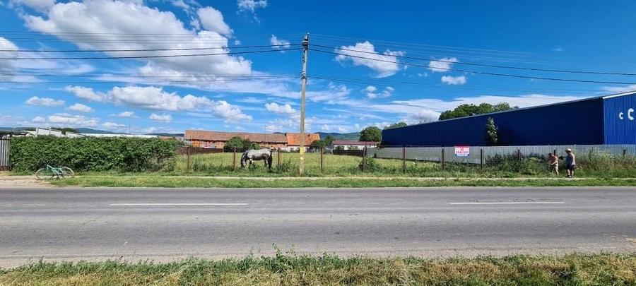 Spațiu comercial, în Cărpiniș