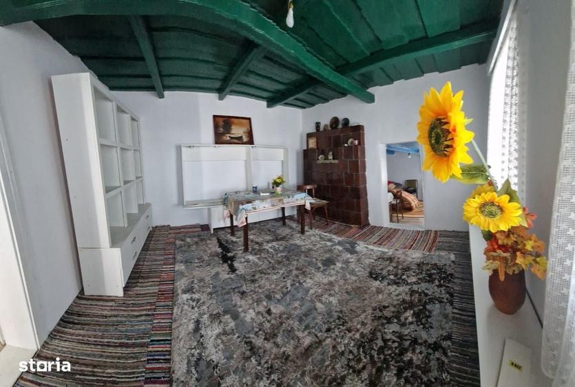 Casă cu 2 camere în Burlești