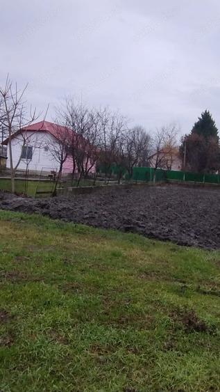 Casă cu 2 camere cu Teren 1439 Mp în Cruceni