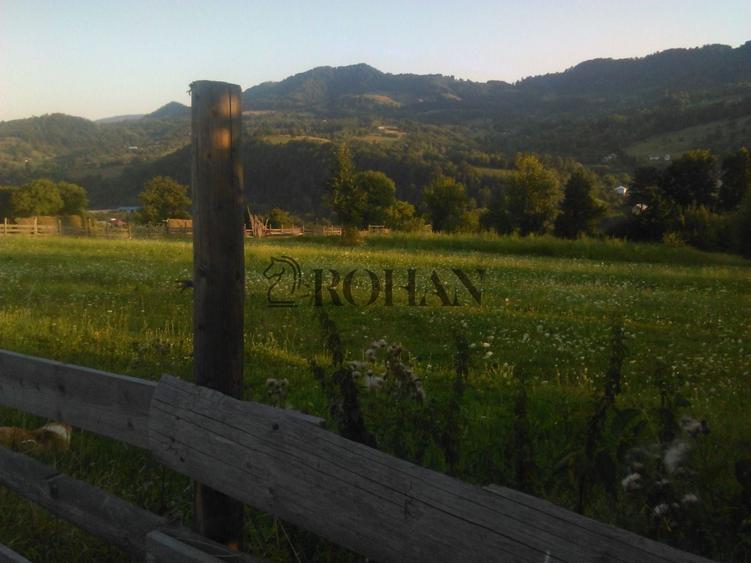 Teren intravilan de 5360 mp, în Tiha Bârgăului