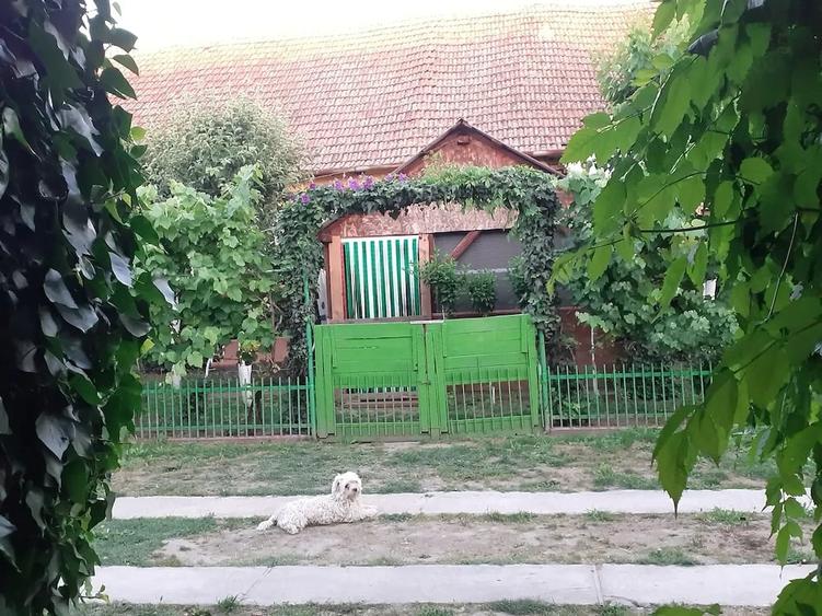 Casă cu 3 camere cu Teren 917 Mp în Iohanisfeld