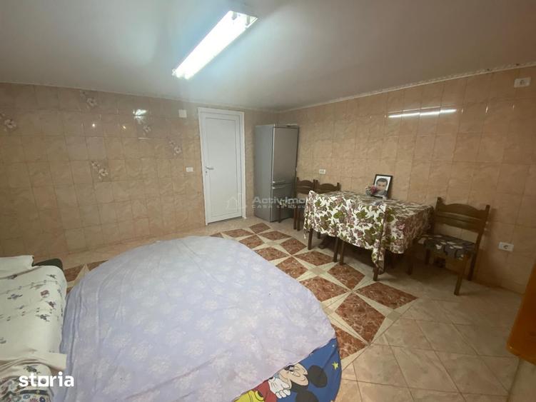 Casă cu 9 camere cu Teren 2892 Mp în Obreja