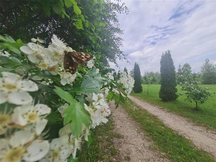 Teren Construcții intravilan de 23000 mp, în Glăjărie