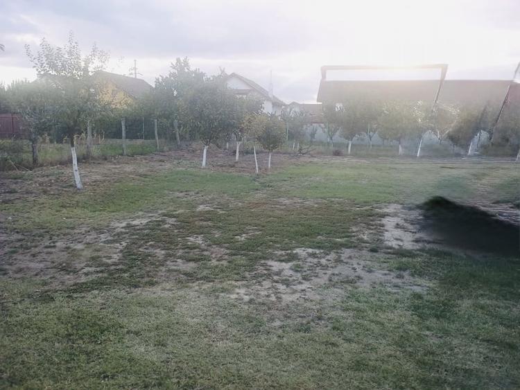 Teren Construcții intravilan de 450 mp, în Sânmihaiu Român